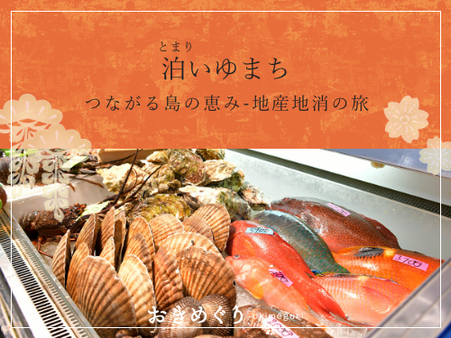 お知らせサムネイル