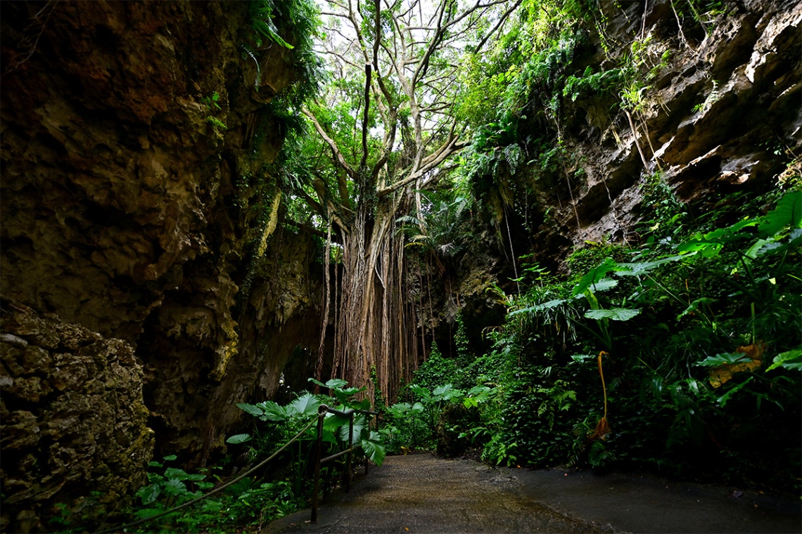 ガンガラーの谷_img