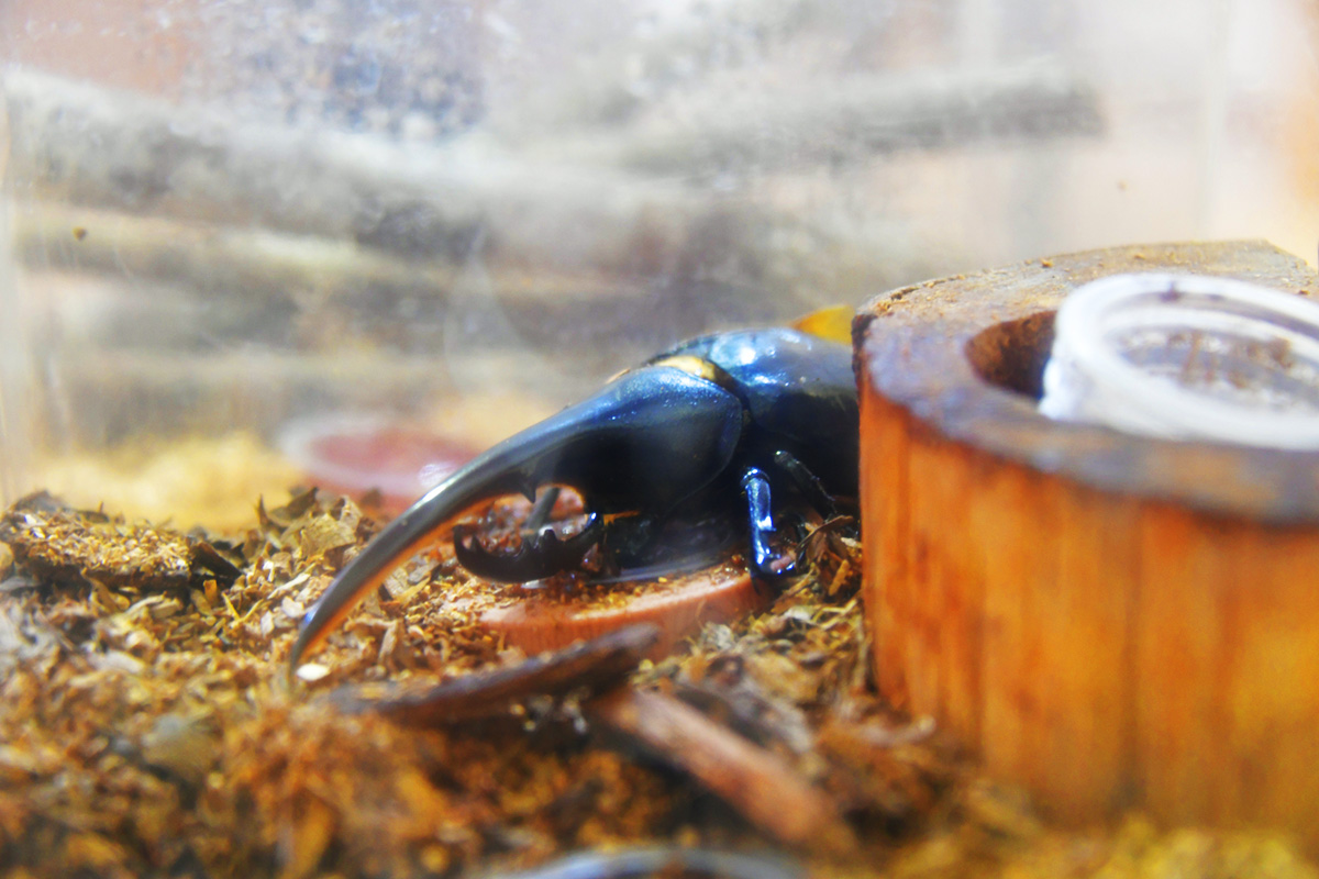 バンナ公園_7469