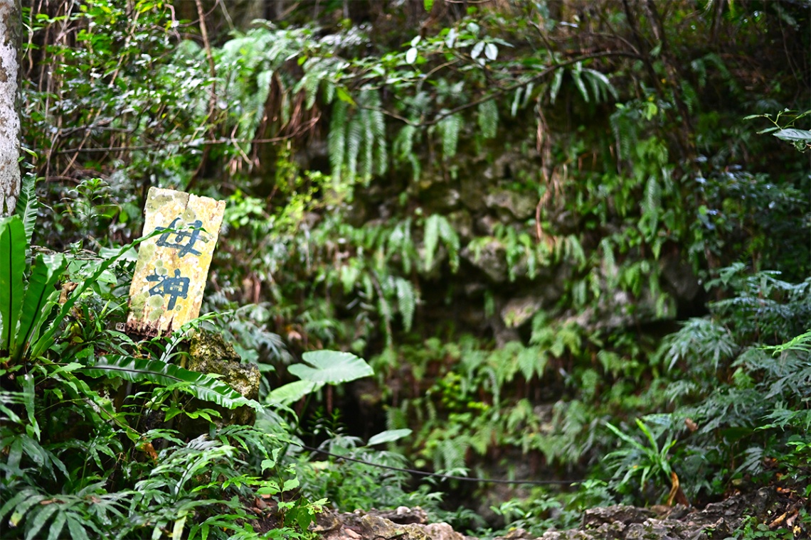 ガンガラーの谷_6459