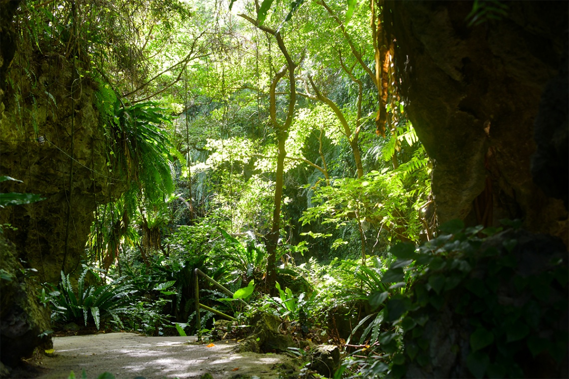 ガンガラーの谷_6464