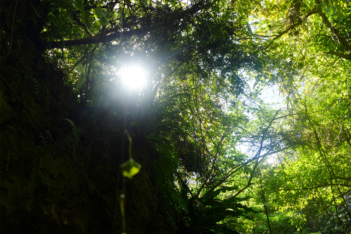 ガンガラーの谷_6465