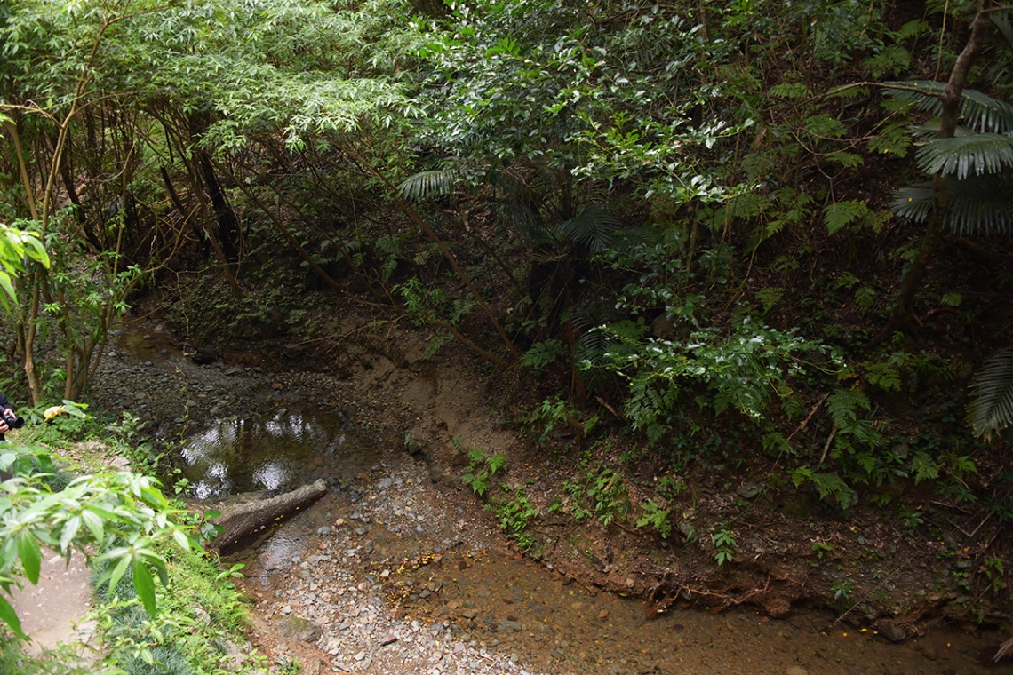 喜如嘉の七滝_6653