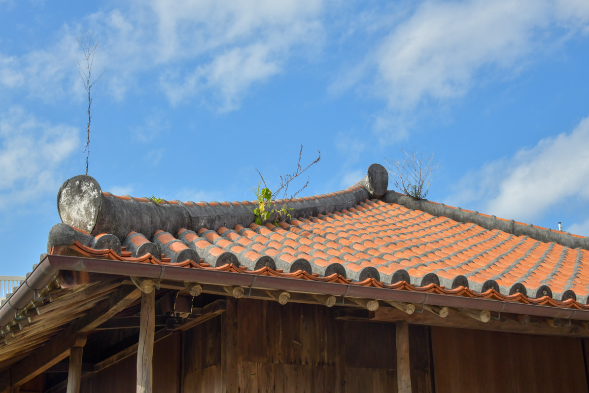 新垣家住宅_7362