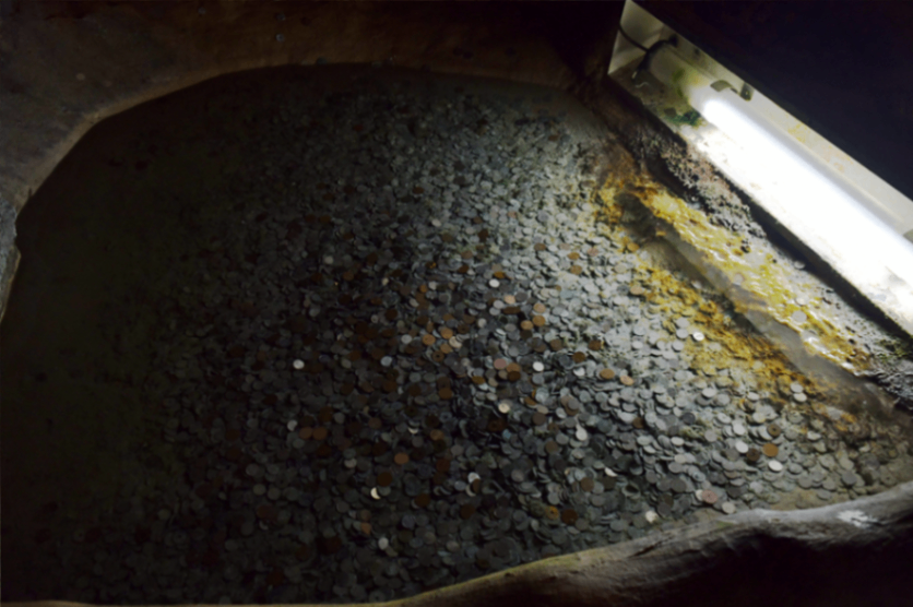 石垣島鍾乳洞　_7356