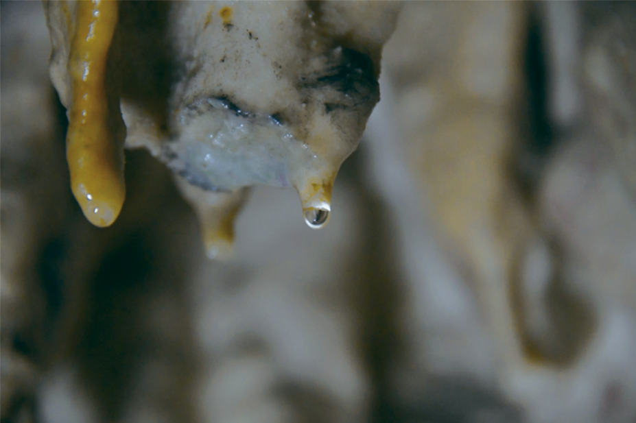 石垣島鍾乳洞　_3