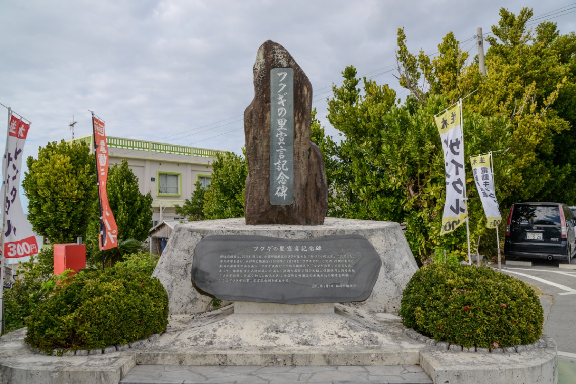 備瀬のフクギ並木_5