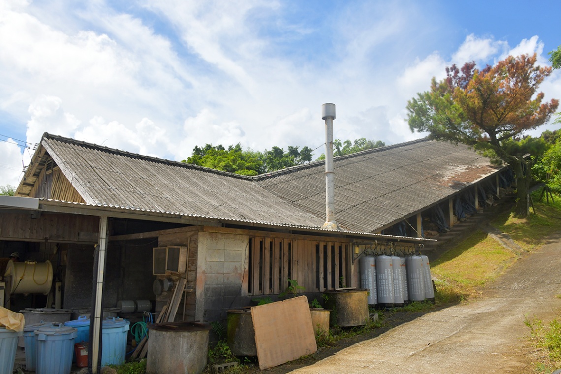 やちむんの里・北窯共同売店_6325