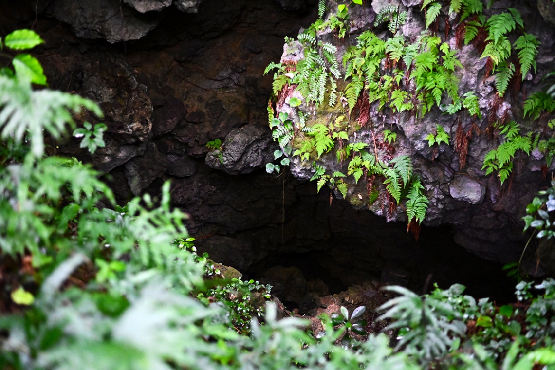 ガンガラーの谷_6449