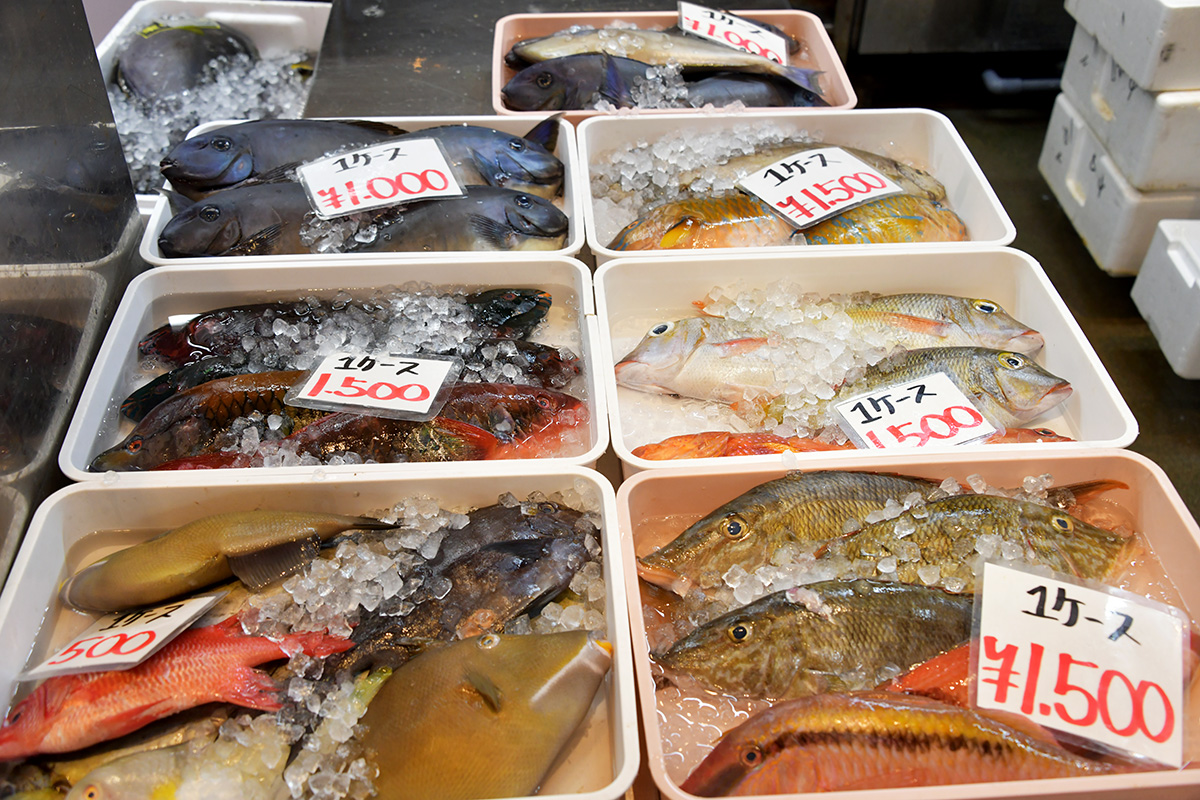 泊いゆまち_6582