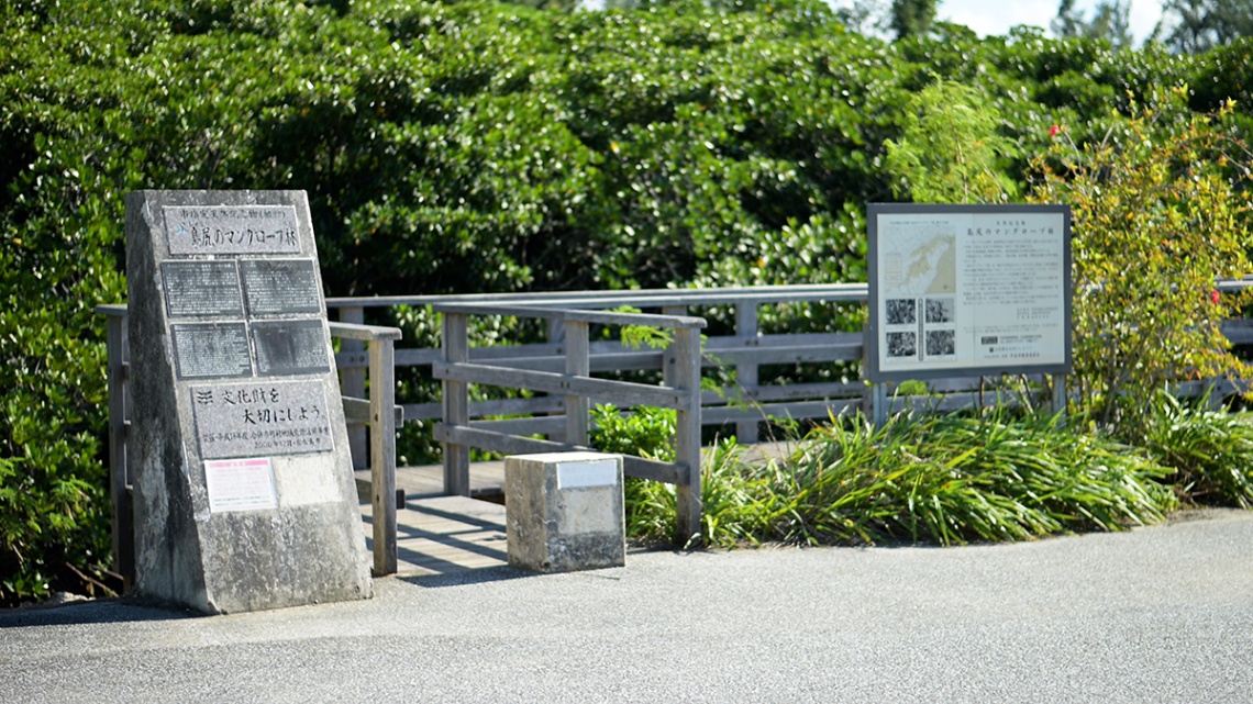 島尻マングローブ_5