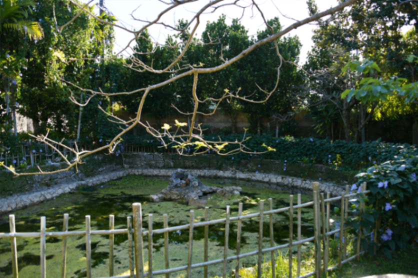 中村家住宅_7608