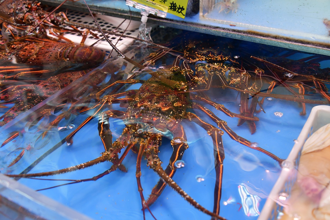 泊いゆまち_6583