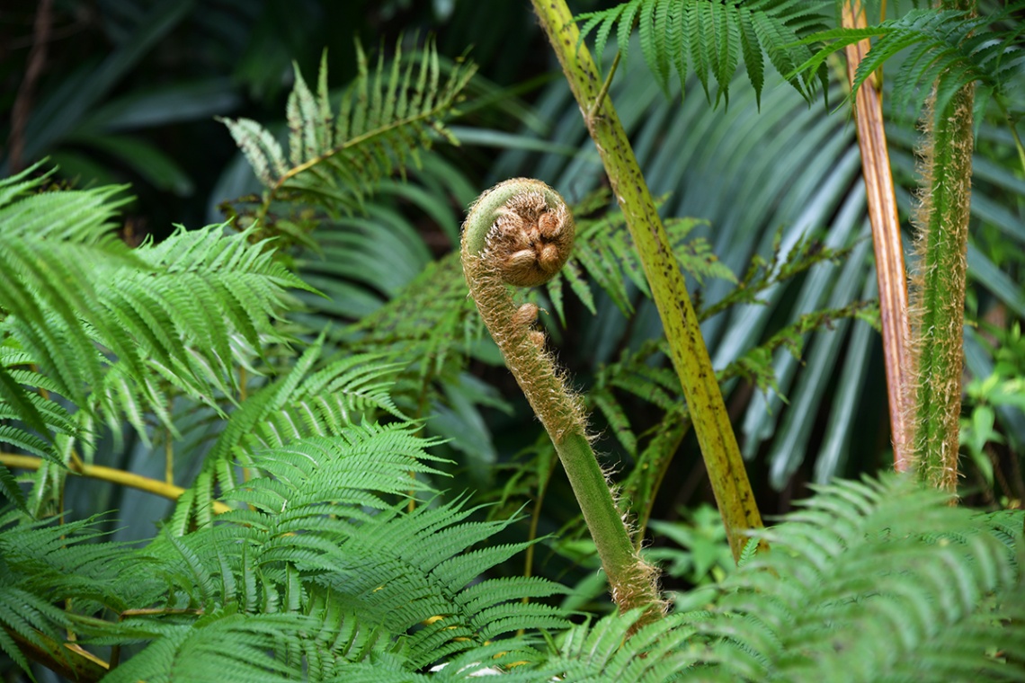 轟の滝公園_6667