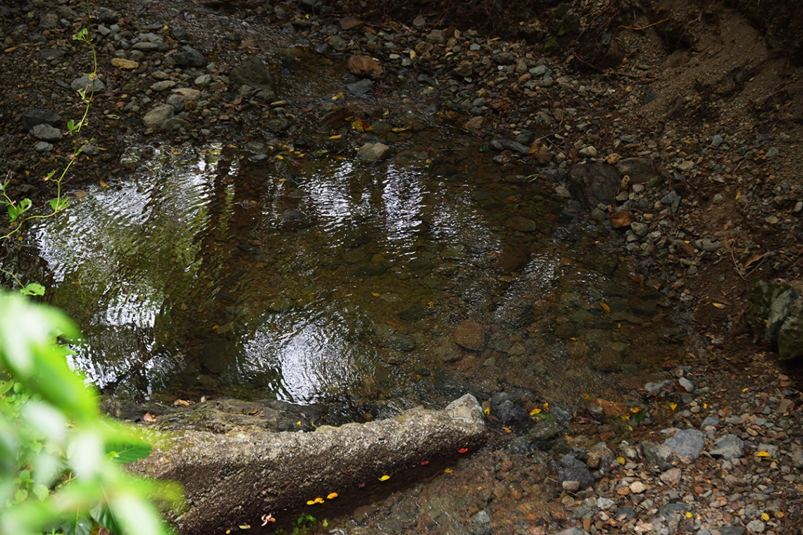 喜如嘉の七滝_6655