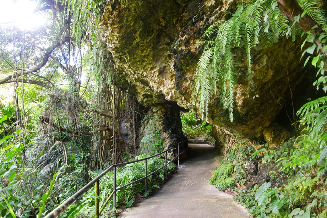 ガンガラーの谷_6451