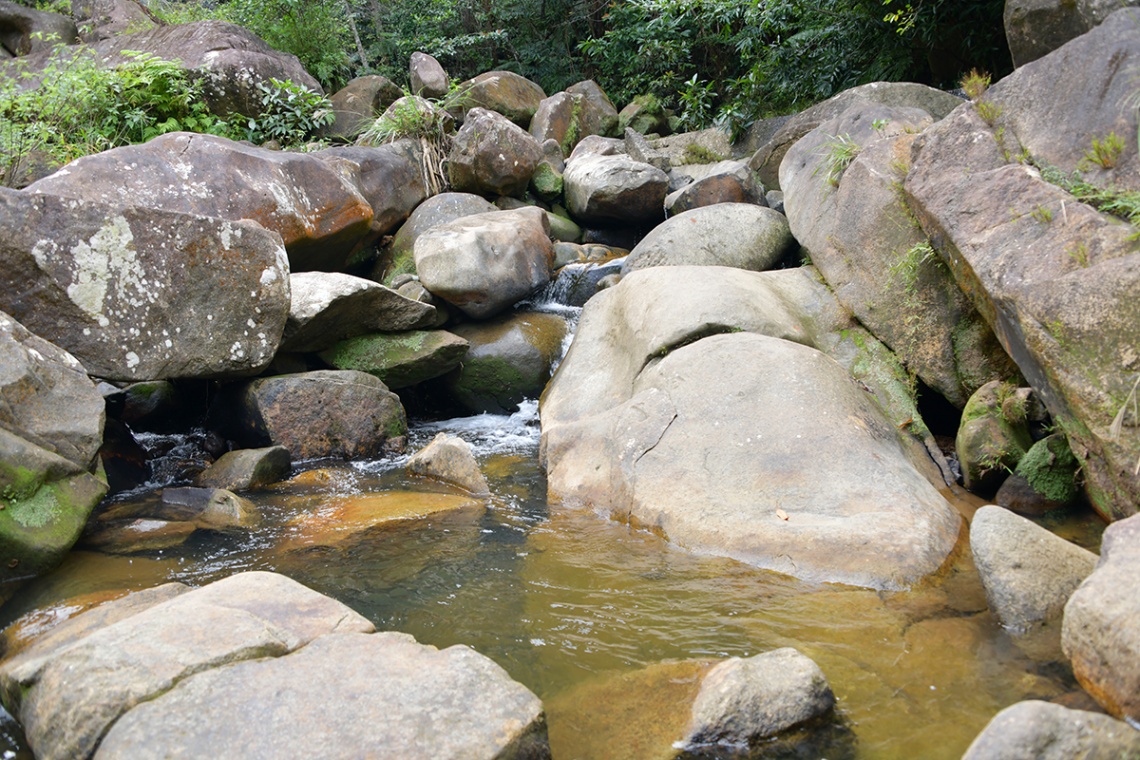 轟の滝公園_6668