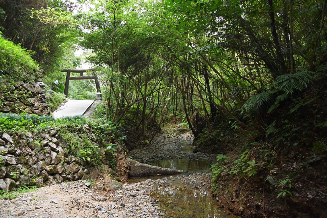 喜如嘉の七滝_6656