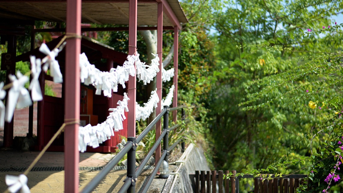 百年古家 大家_6758