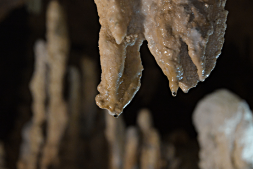 石垣島鍾乳洞　_7359