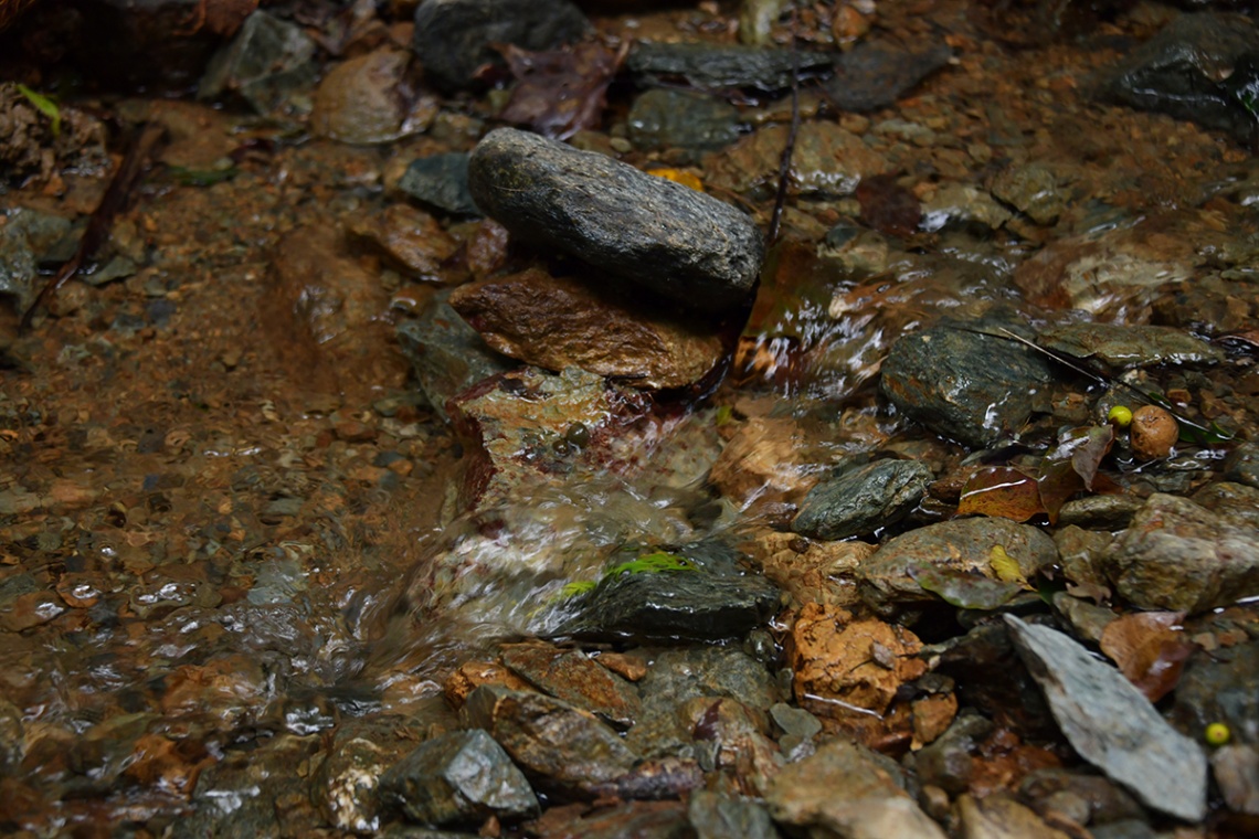 喜如嘉の七滝_6657