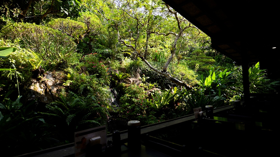 百年古家 大家_11