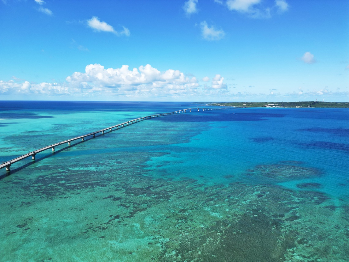 みなと食堂　_11