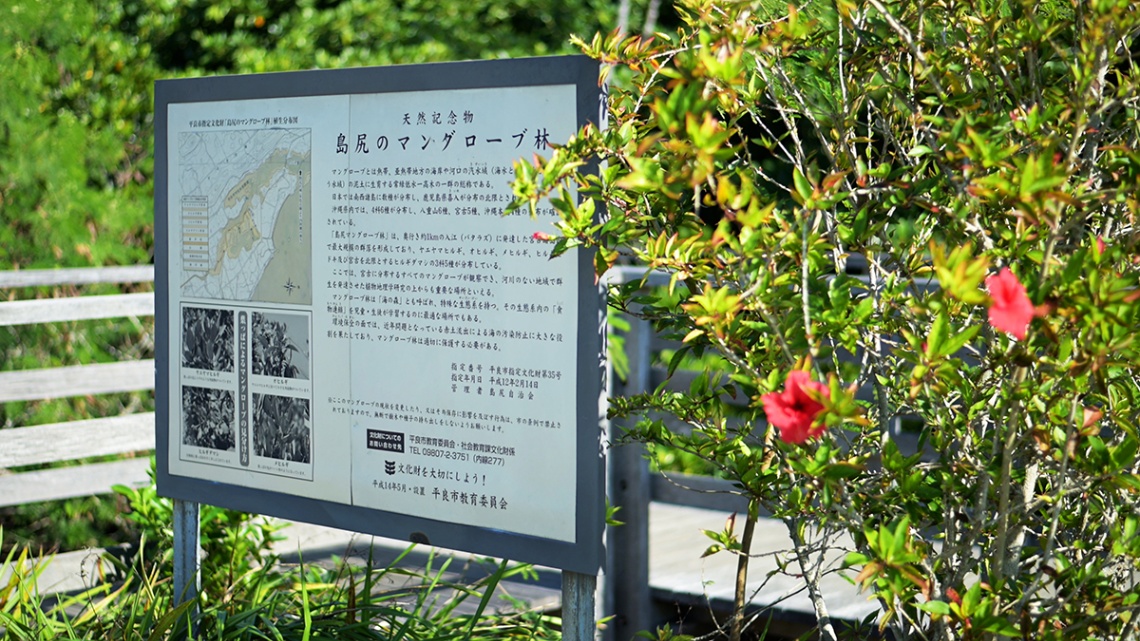 島尻マングローブ_6794