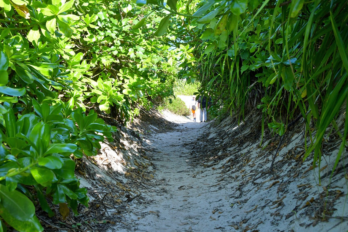 宮古島ビーチ（前浜ビーチ・砂山ビーチ）_12