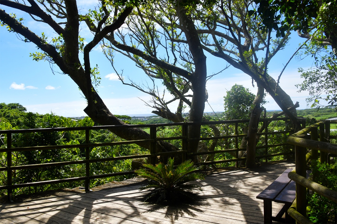 ガンガラーの谷_6453