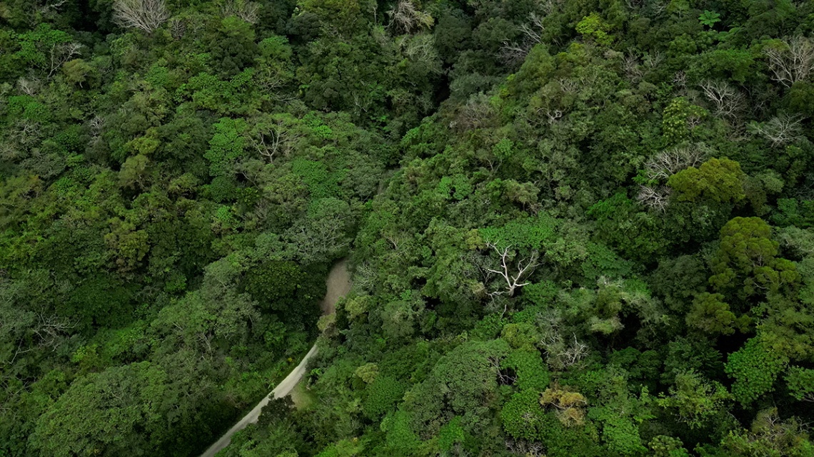 喜如嘉の七滝_13