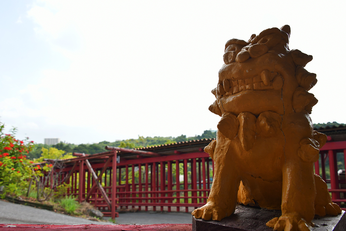 百年古家 大家_13