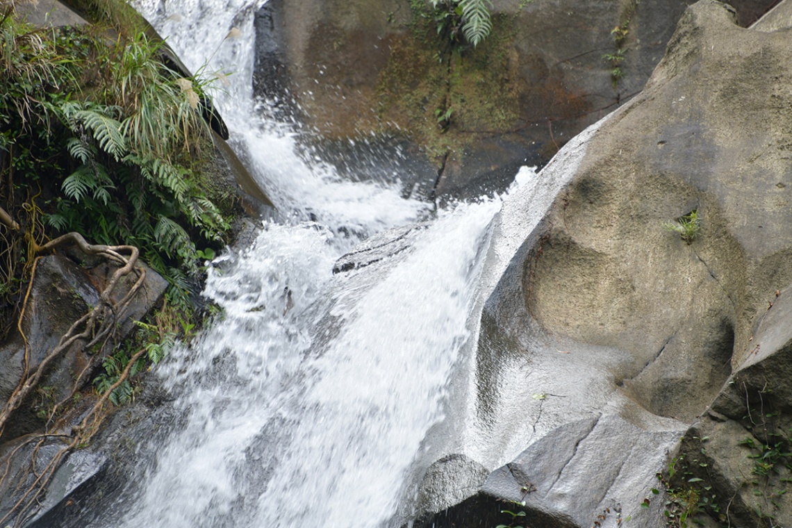 轟の滝公園_6665