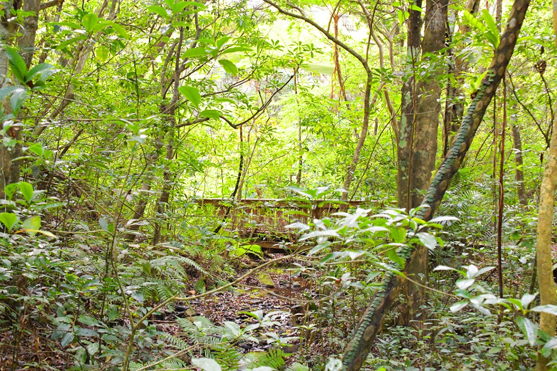 バンナ公園_7466