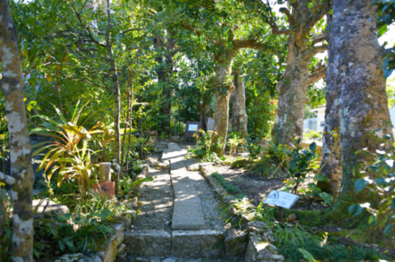 中村家住宅_15