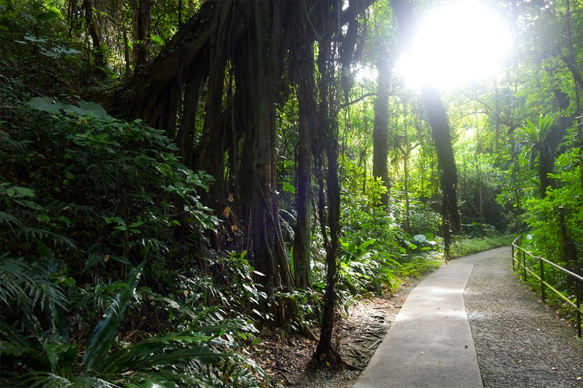 ガンガラーの谷_6455