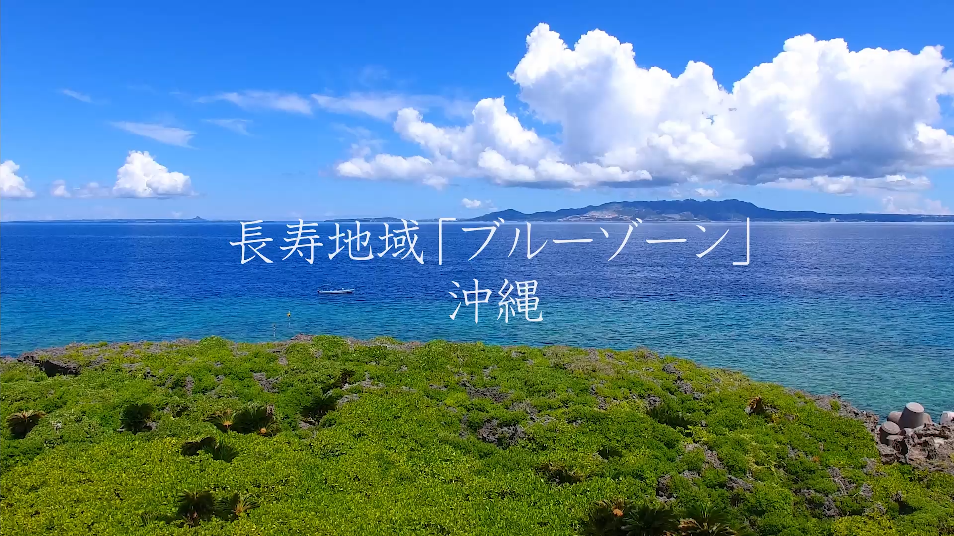 14ブルーゾーン沖縄_movie_thumbnail