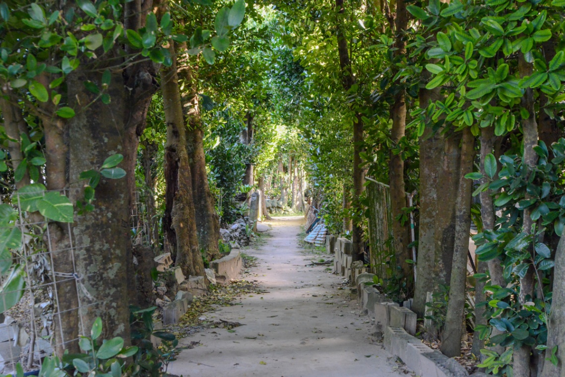 ブルーゾーン沖縄_3