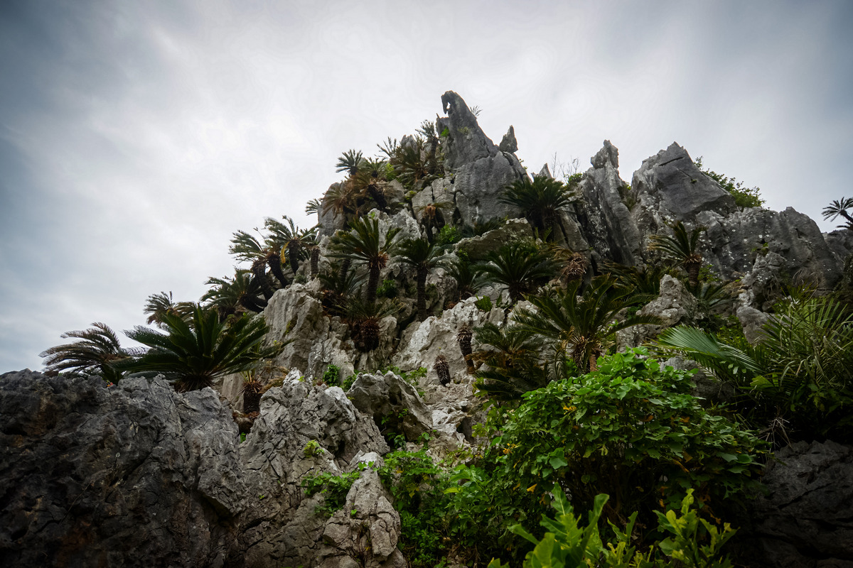 ブルーゾーン沖縄_5