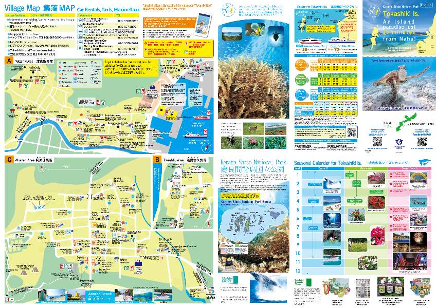 画像が見つからない